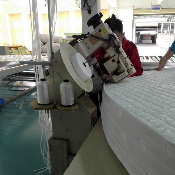 福建宁德床垫机械项目